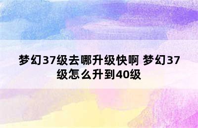 梦幻37级去哪升级快啊 梦幻37级怎么升到40级